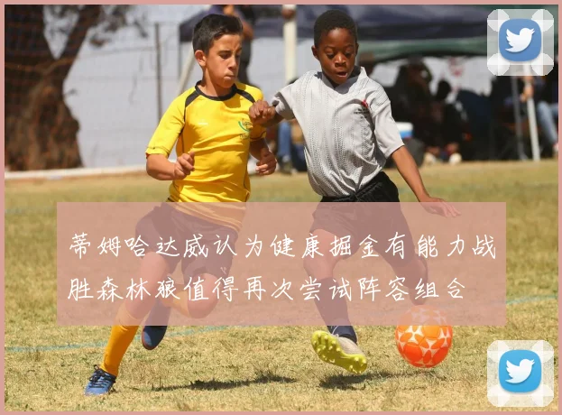 蒂姆哈达威认为健康掘金有能力战胜森林狼值得再次尝试阵容组合