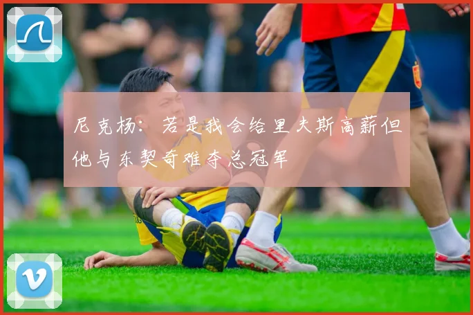 尼克杨：若是我会给里夫斯高薪但他与东契奇难夺总冠军